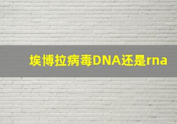 埃博拉病毒DNA还是rna