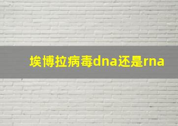 埃博拉病毒dna还是rna