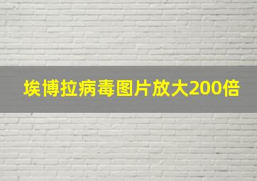 埃博拉病毒图片放大200倍