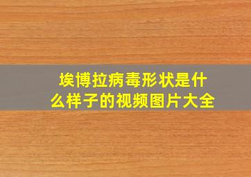 埃博拉病毒形状是什么样子的视频图片大全