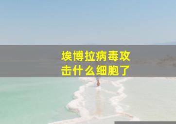 埃博拉病毒攻击什么细胞了