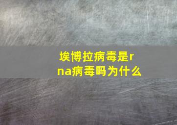 埃博拉病毒是rna病毒吗为什么