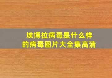 埃博拉病毒是什么样的病毒图片大全集高清