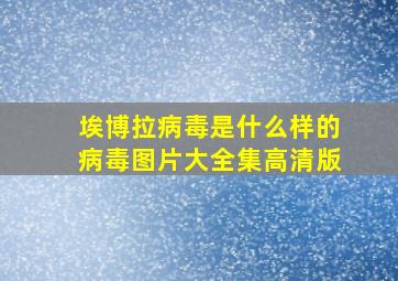 埃博拉病毒是什么样的病毒图片大全集高清版