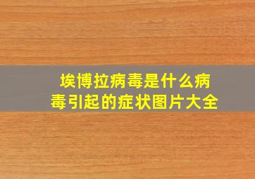 埃博拉病毒是什么病毒引起的症状图片大全