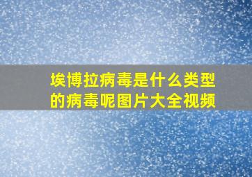 埃博拉病毒是什么类型的病毒呢图片大全视频