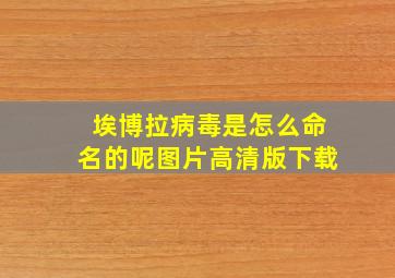 埃博拉病毒是怎么命名的呢图片高清版下载