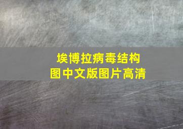 埃博拉病毒结构图中文版图片高清