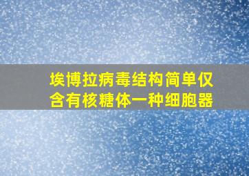 埃博拉病毒结构简单仅含有核糖体一种细胞器