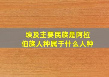 埃及主要民族是阿拉伯族人种属于什么人种