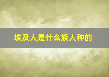 埃及人是什么族人种的