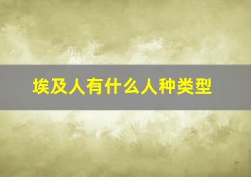 埃及人有什么人种类型