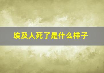 埃及人死了是什么样子