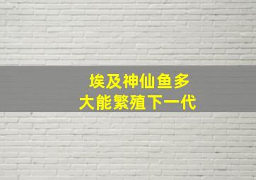 埃及神仙鱼多大能繁殖下一代