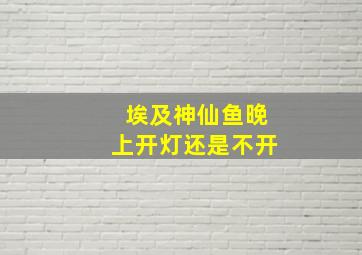 埃及神仙鱼晚上开灯还是不开