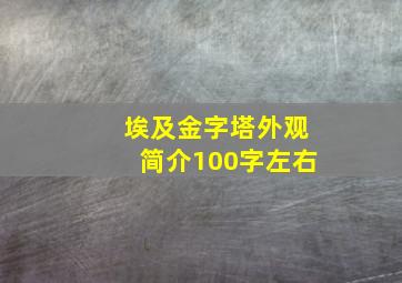 埃及金字塔外观简介100字左右