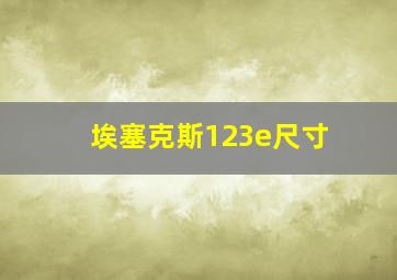 埃塞克斯123e尺寸