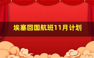 埃塞回国航班11月计划