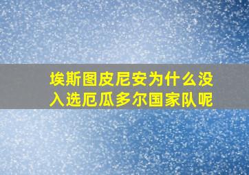 埃斯图皮尼安为什么没入选厄瓜多尔国家队呢