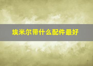 埃米尔带什么配件最好