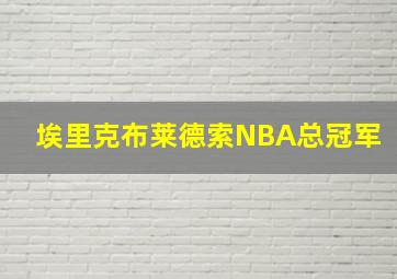 埃里克布莱德索NBA总冠军