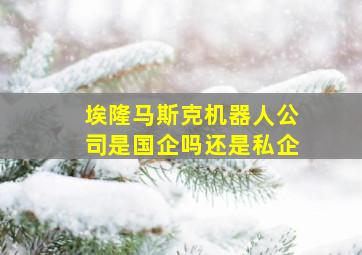 埃隆马斯克机器人公司是国企吗还是私企