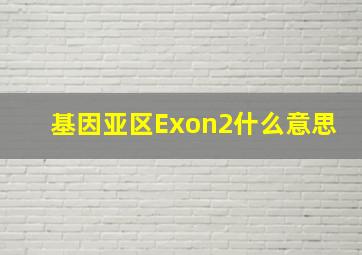 基因亚区Exon2什么意思