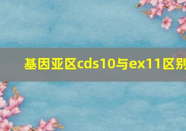 基因亚区cds10与ex11区别