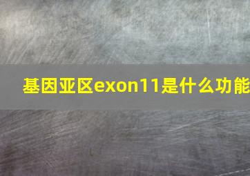 基因亚区exon11是什么功能