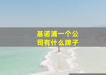 基诺浦一个公司有什么牌子