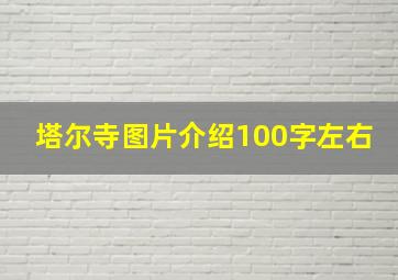 塔尔寺图片介绍100字左右