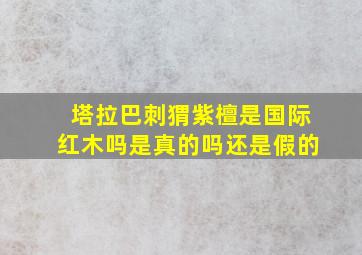 塔拉巴刺猬紫檀是国际红木吗是真的吗还是假的