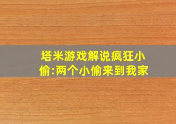 塔米游戏解说疯狂小偷:两个小偷来到我家