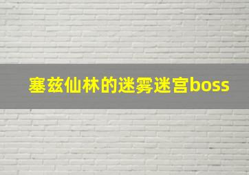 塞兹仙林的迷雾迷宫boss