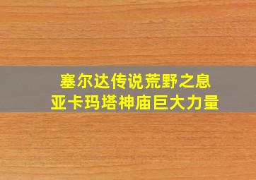 塞尔达传说荒野之息亚卡玛塔神庙巨大力量