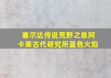 塞尔达传说荒野之息阿卡莱古代研究所蓝色火焰