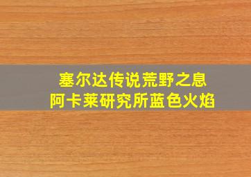 塞尔达传说荒野之息阿卡莱研究所蓝色火焰