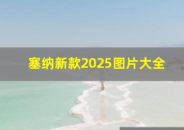 塞纳新款2025图片大全