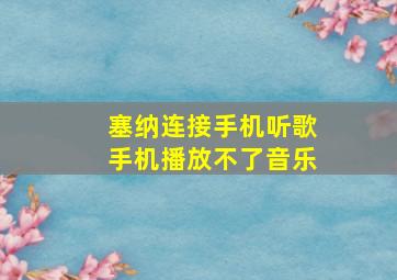 塞纳连接手机听歌手机播放不了音乐