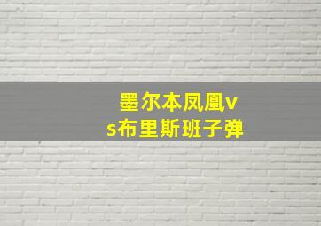 墨尔本凤凰vs布里斯班子弹