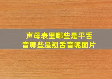 声母表里哪些是平舌音哪些是翘舌音呢图片