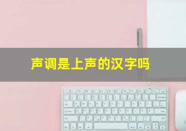 声调是上声的汉字吗