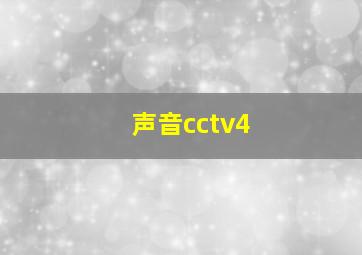 声音cctv4