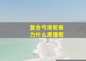 复合弓滑轮省力什么原理呢