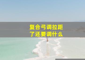 复合弓调拉距了还要调什么