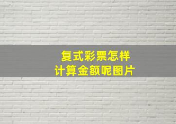 复式彩票怎样计算金额呢图片