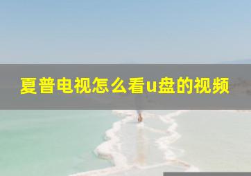 夏普电视怎么看u盘的视频