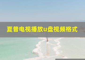 夏普电视播放u盘视频格式