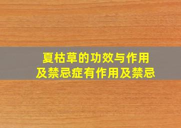 夏枯草的功效与作用及禁忌症有作用及禁忌