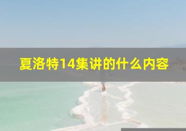 夏洛特14集讲的什么内容